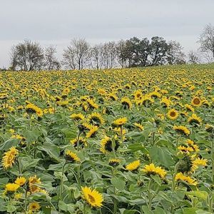 Meet your Posher, Nina